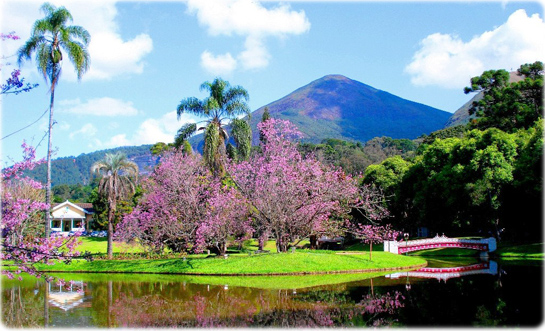Friburgo RJ